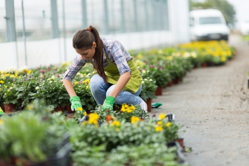 A young woman with long dark hair, dressed in a casual plaid shirt and a yellow apron, is kneeling on a gravel pathway in a commercial or community greenhouse or nursery environment in Muswell Hill. She is wearing green gardening gloves and carefully tending to a row of vibrant flower pots, which contain a variety of blooming flowers with yellow, purple, and pink petals. The background features a large glass greenhouse structure with visible metal framing, filled with more flowering plants and greenery, suggesting ongoing garden maintenance work typical of professional gardening services. The outdoor setting appears to be bright and well-lit, indicating daytime with natural sunlight, and the overall scene reflects organized landscaping efforts aimed at enhancing garden aesthetics and plant health, aligning with local gardening service offerings in the Muswell Hill area.