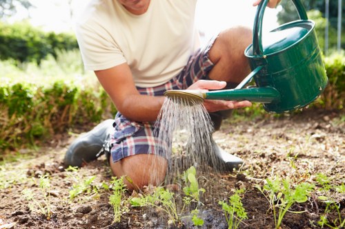 Gardener trimming a suburban Muswell Hill garden hedge