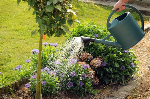 A person watering a flower bed in a garden with a green watering can, positioned to the right of the image. The flower bed contains a mix of purple and faded brown blooms, bordered by a small wooden edge. Behind the flower bed, there are lush green shrubs and a tree with a thin trunk and dense foliage. The lawn surrounding the garden features well-maintained, green grass, and a paved pathway is visible in the background. The garden environment appears bright and clear, suggesting a mild weather day. The scene exemplifies outdoor garden maintenance, with a focus on flowering plants and greenery that could be managed by local gardening services such as those offered by Garden Maintenance Muswell Hill.